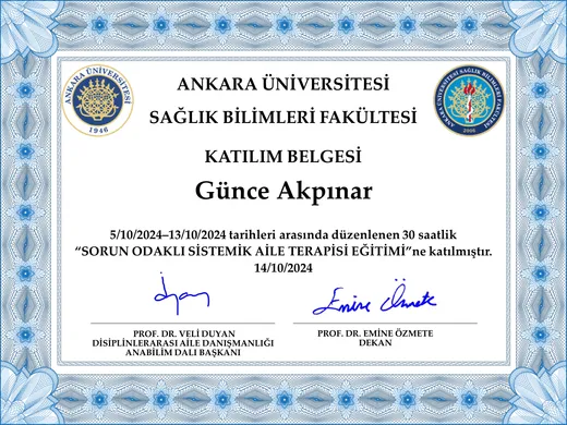 Sorun Odaklı Sistemik Aile Terapisi Eğitimi sertifikası
